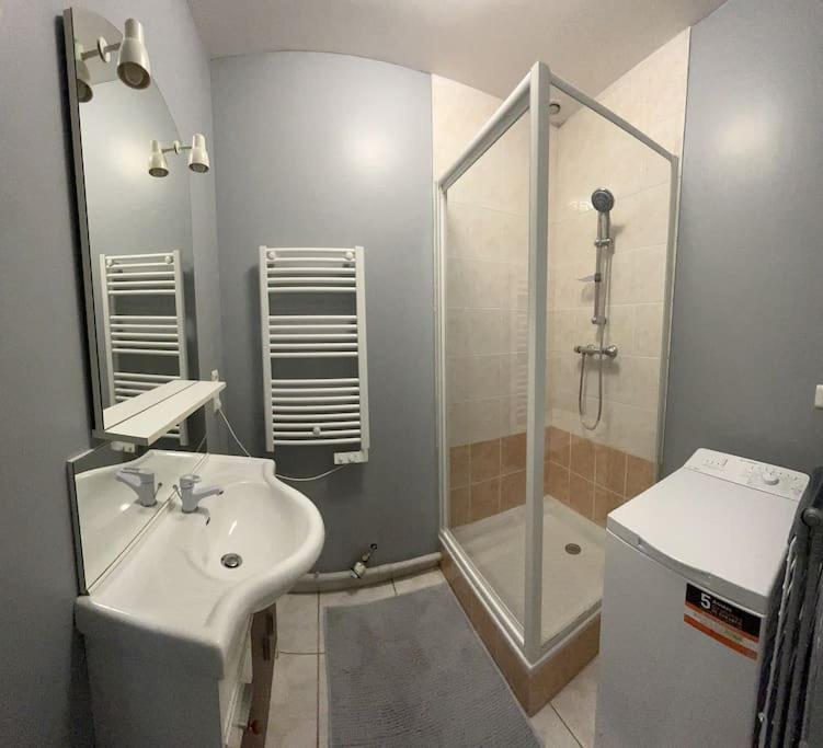 Appartement 1 Chambre Rue Faubourg De Besancon Montbéliard Eksteriør bilde